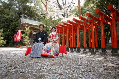 群馬和装前撮りロケーションフォト桜