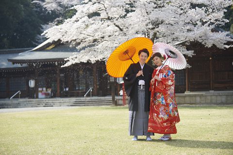 群馬和装前撮りロケーションフォト桜