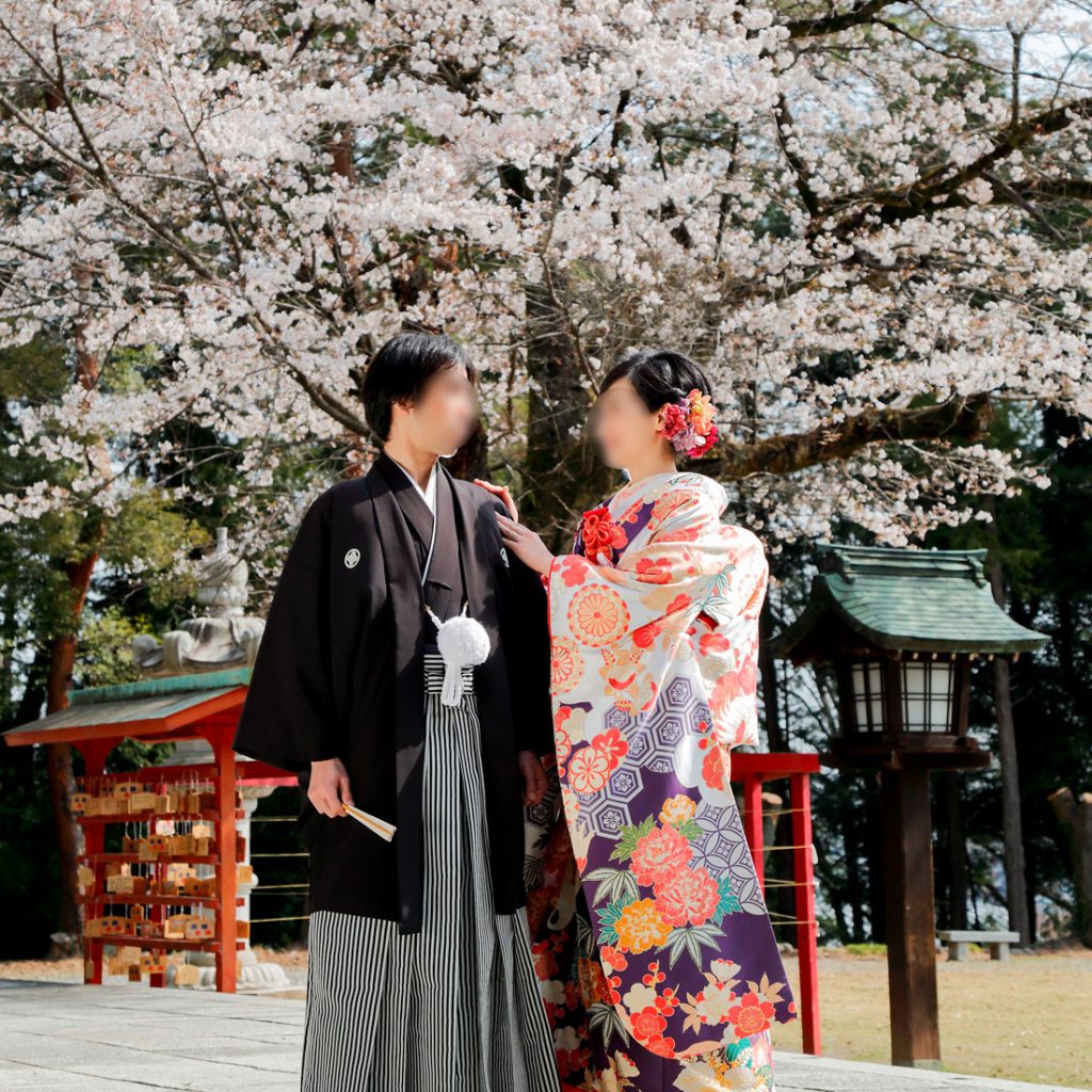 和装前撮りロケーションフォト桜色打掛