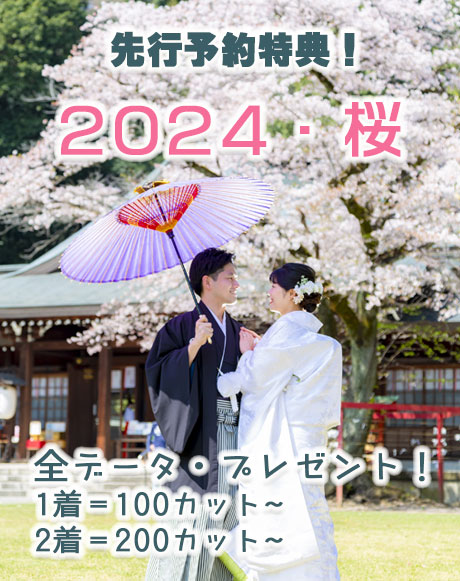 2024桜和装前撮りロケーションフォト