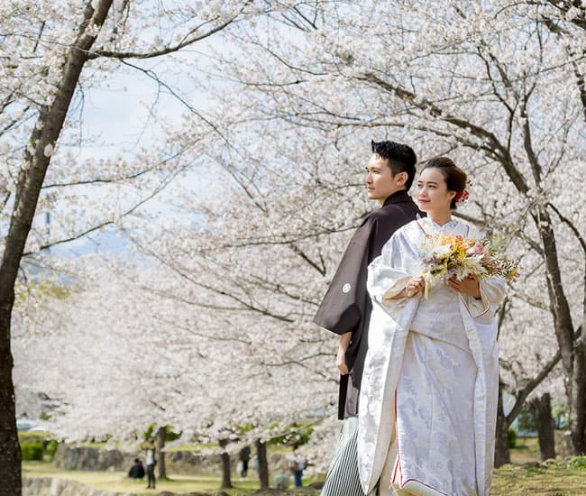2026年春の桜和装前撮りロケーションフォト