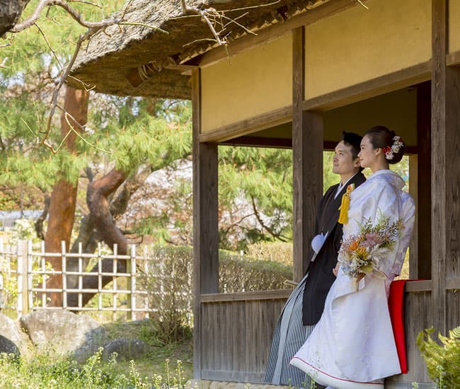 2026年春の桜和装前撮りロケーションフォト
