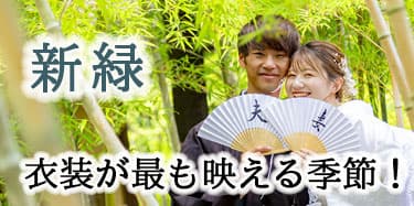 格安紅葉前撮りロケーションフォト